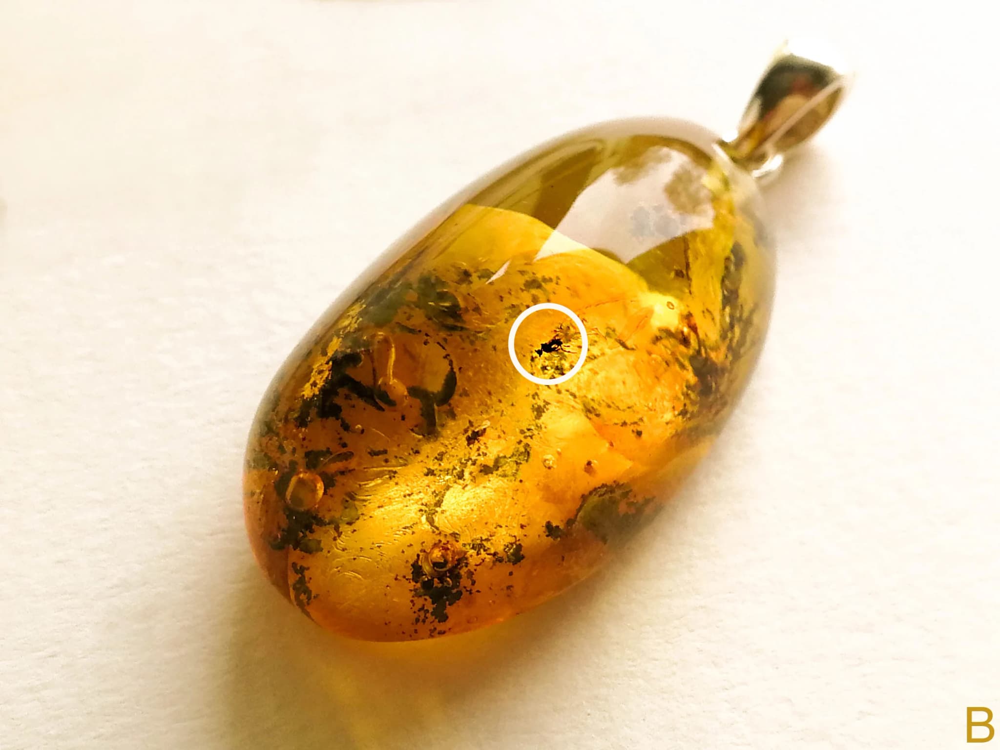 Bernsteinschmuck: Eine polnische Kunstform der Moderne