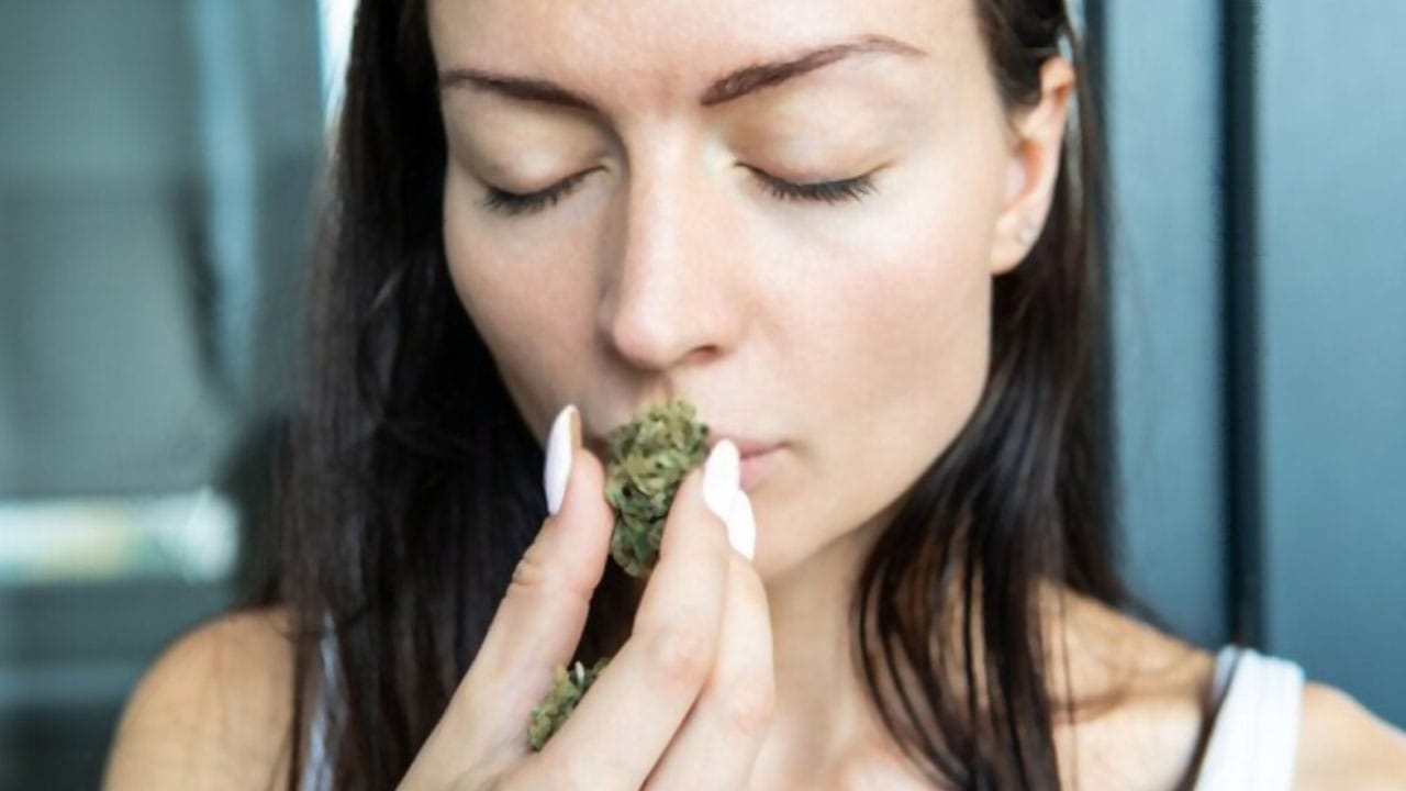 Weed-Trends 2025: Cannapot führt die Entwicklung an