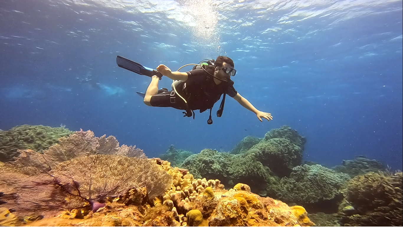 Dive Center Mexiko: Deutsche Expertise trifft karibische Farbenpracht