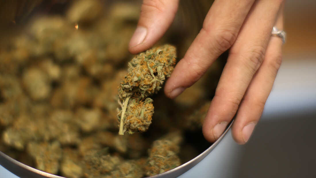 Weed-Trends 2025: Cannapot führt die Entwicklung an